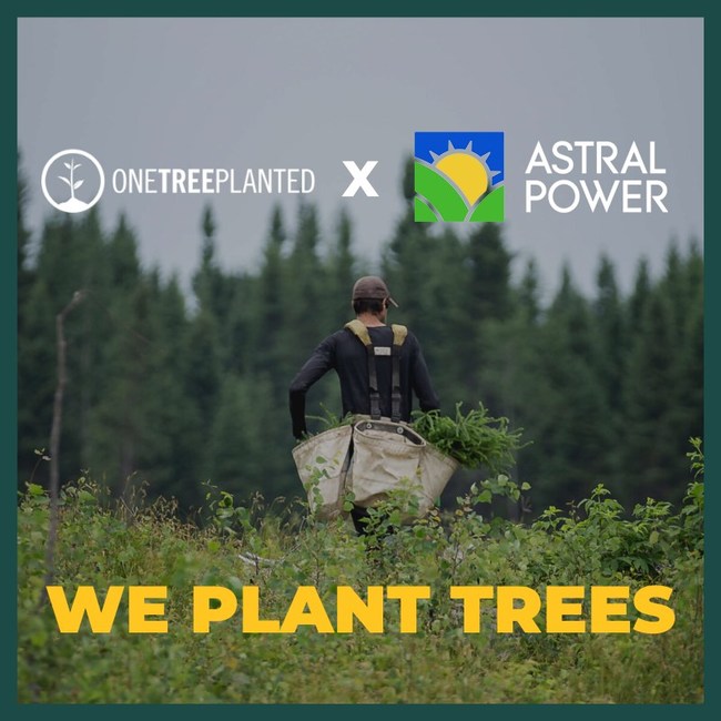 Astral Power partners with One Tree Planted to plant a tree in your name when you enroll during the Solarize Chatham campaign.