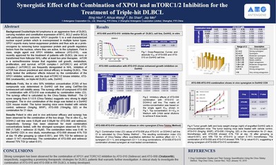 #1380: Synergistic effect of the combination of XPO1 and mTORC1/2 inhibition for the treatment of triple-hit DLBCL