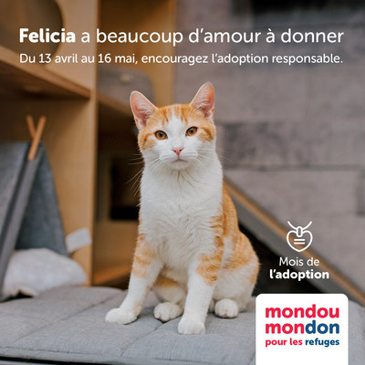 Campagne Mondou Mondon pour les refuges (Groupe CNW/Mondou)