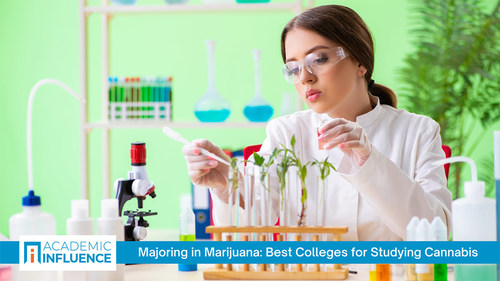 With increasing state legalization, all aspects of the legal marijuana business are growing rapidly. To meet the need, colleges are offering more courses and degrees in cannabis. AcademicInfluence.com explores these offerings, the leading books on the subject, and the top influencers/