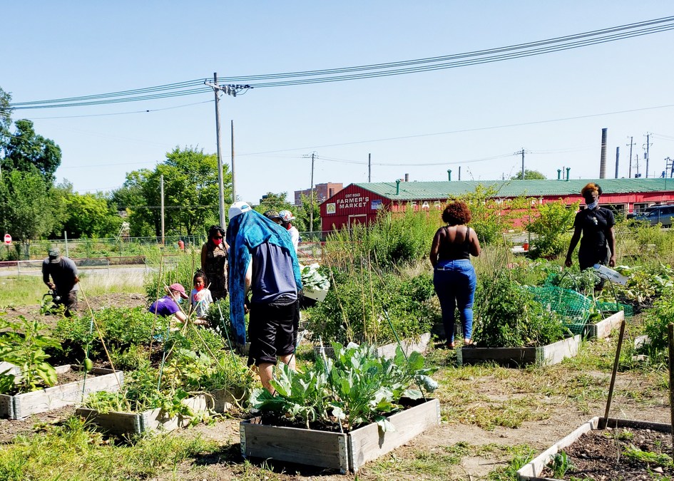 Nature's Path Gardens For Good Program Announces Winners and Adds 22nd Grant - Vimarsana News