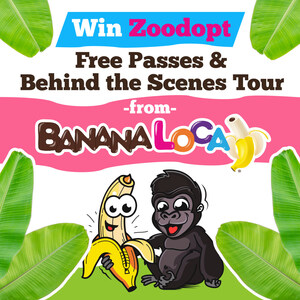 Gorillas Going Wild for National Banana Day, with Banana Loca