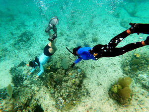 Fairmont Mayakoba Parnters With Oceanus In Honor Of Earth Day, Launches Online Donation Platform For Guests