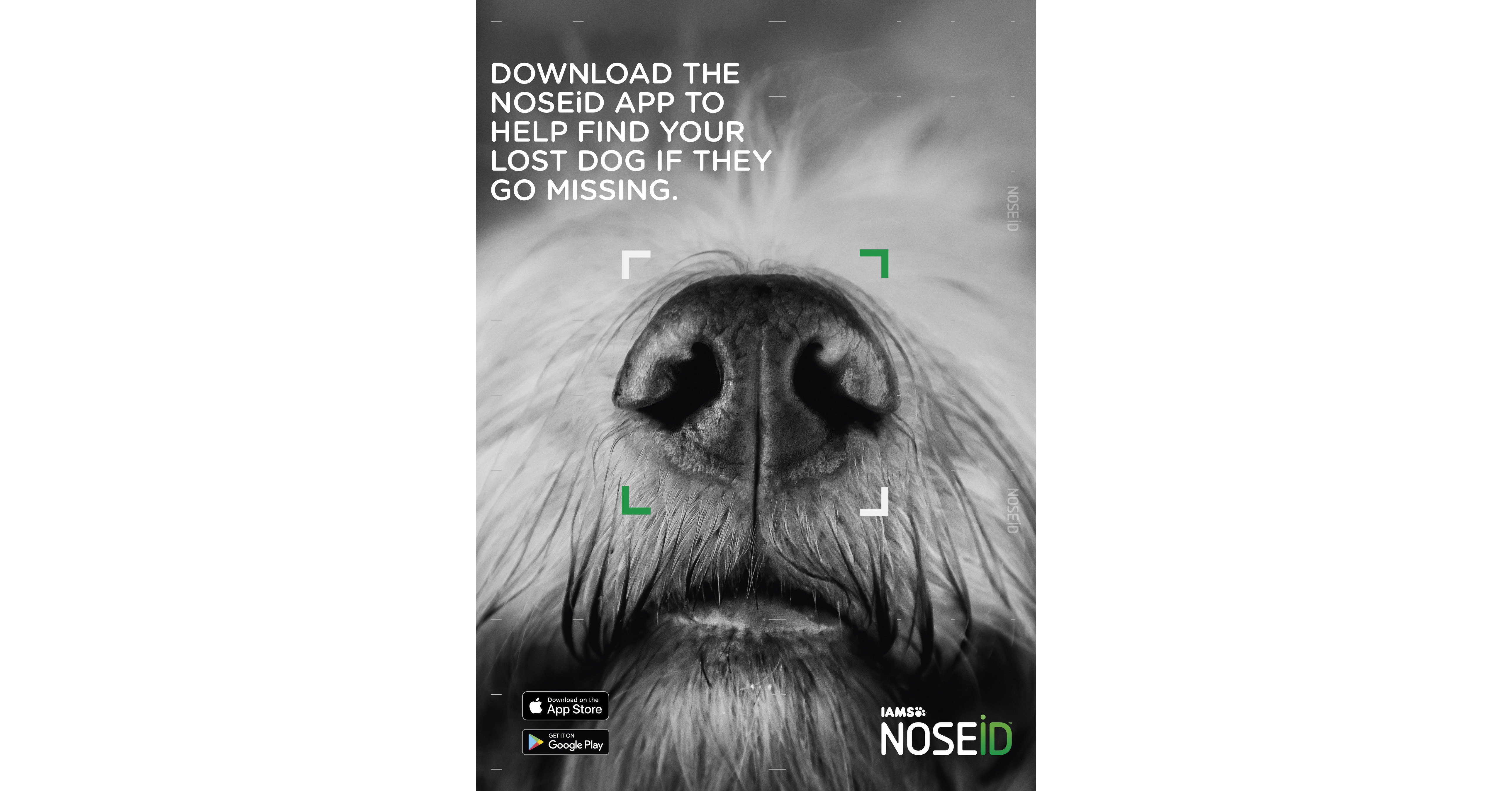 How Far Can Lost Dogs Travel