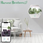 Harvest Brothers Announces the North American Launch of Linfa Weezy, the world's smartest cannabis grow box.