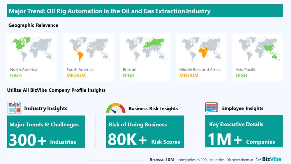 Snapshot of BizVibe's oil and gas extraction industry group and product categories.