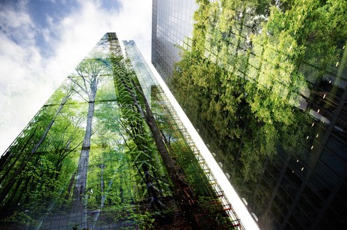 Buildings with reflection of trees