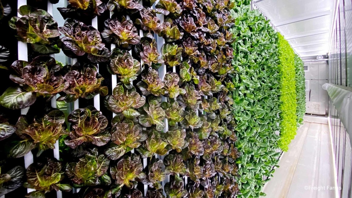 New Freight Farms Greenery S Ushers in the Next Era of Smart Small-Space Farming - Vimarsana News