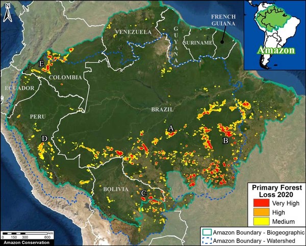 Amazon Conservation’s partnership with SAS will help address a core source of forest loss: illegal, human-driven deforestation (image courtesy of Amazon Conservation's MAAP Program)