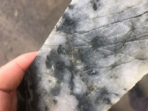 Leviathan Gold Reports initial results of Diamond Drilling at the Excelsior Prospect at its Avoca Project
