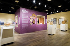 Indigenous Arts Gallery at Tucson Museum of Art Reflects Community-Based Approach to Exhibition Development