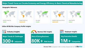 Company Insights for the Basic Chemical Manufacturing Industry | Impact of Trends and Challenges on Companies, Risk of Doing Business, Top Geographical Competitors, Key Executive Details | BizVibe