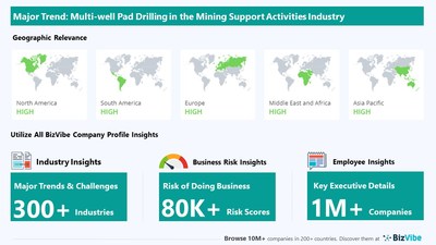 Snapshot of BizVibe's mining support activities industry group and product categories.