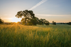 Earth Day is Every Day at Morgan Oaks Eternal Preserve