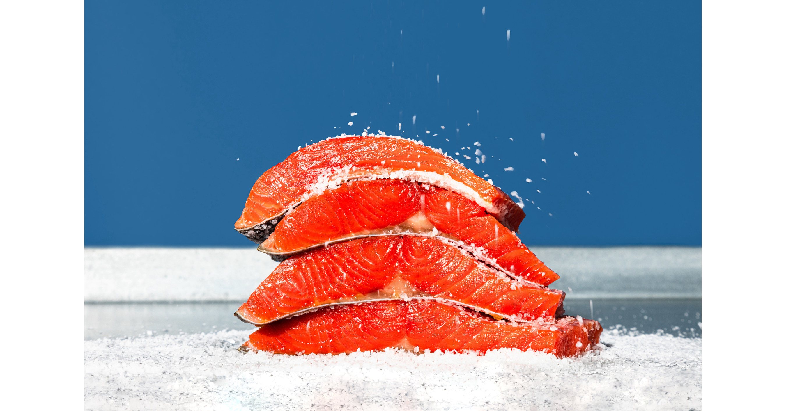 Buy Wild Caught King Salmon Direct From The Fisherman