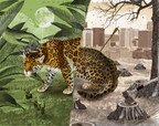 Tras los pasos del Jaguar: GQ México y Latinoamérica se adentró en la selva de Campeche, la casa del gran felino Americano.