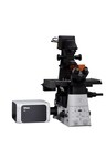 Nikon introduces the AX and AX R confocal microscope systems, with 8K resolution, world's largest 25mm field of view, and an advanced suite of Artificial Intelligence (AI)-based tools for accelerating microscopy-based research