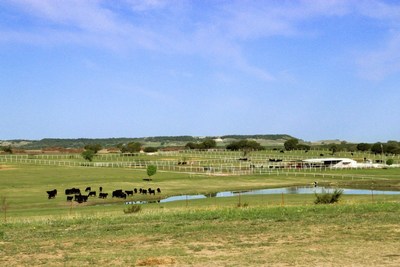 Our Texas Ranch