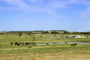 Acknowledging the Agricultural Crisis in America