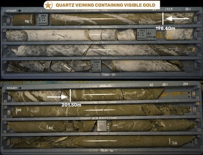 Figure 5 - HVD003 Quartz vein containing visible gold (198.40 – 201.50m down-hole), within hydrothermally altered and veined sedimentary unit (CNW Group/E79 Resources Corp.)
