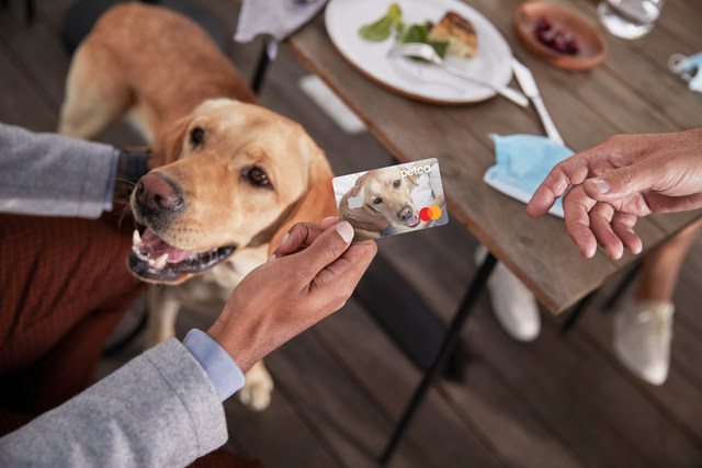 Petco Pay Mastercard Credit Card Home Comenity Login Pages Info