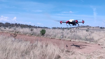 XAG Agricultural Drone seeded the degraded pasture in Australia