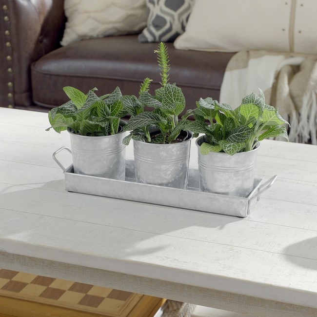 Walford Home Flower Pot & Tray