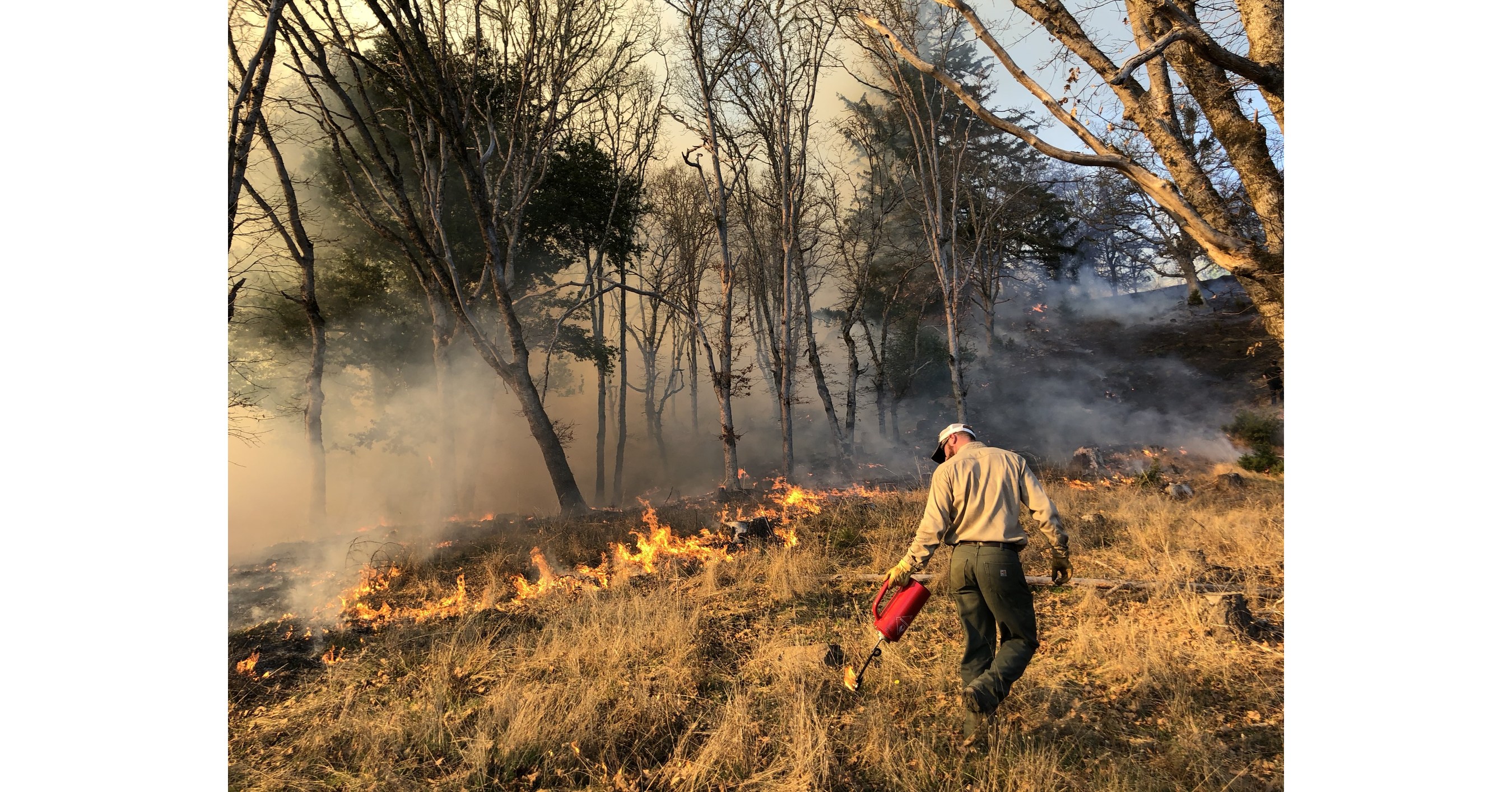 Groups Seek Liability Reforms to Fight Wildfire