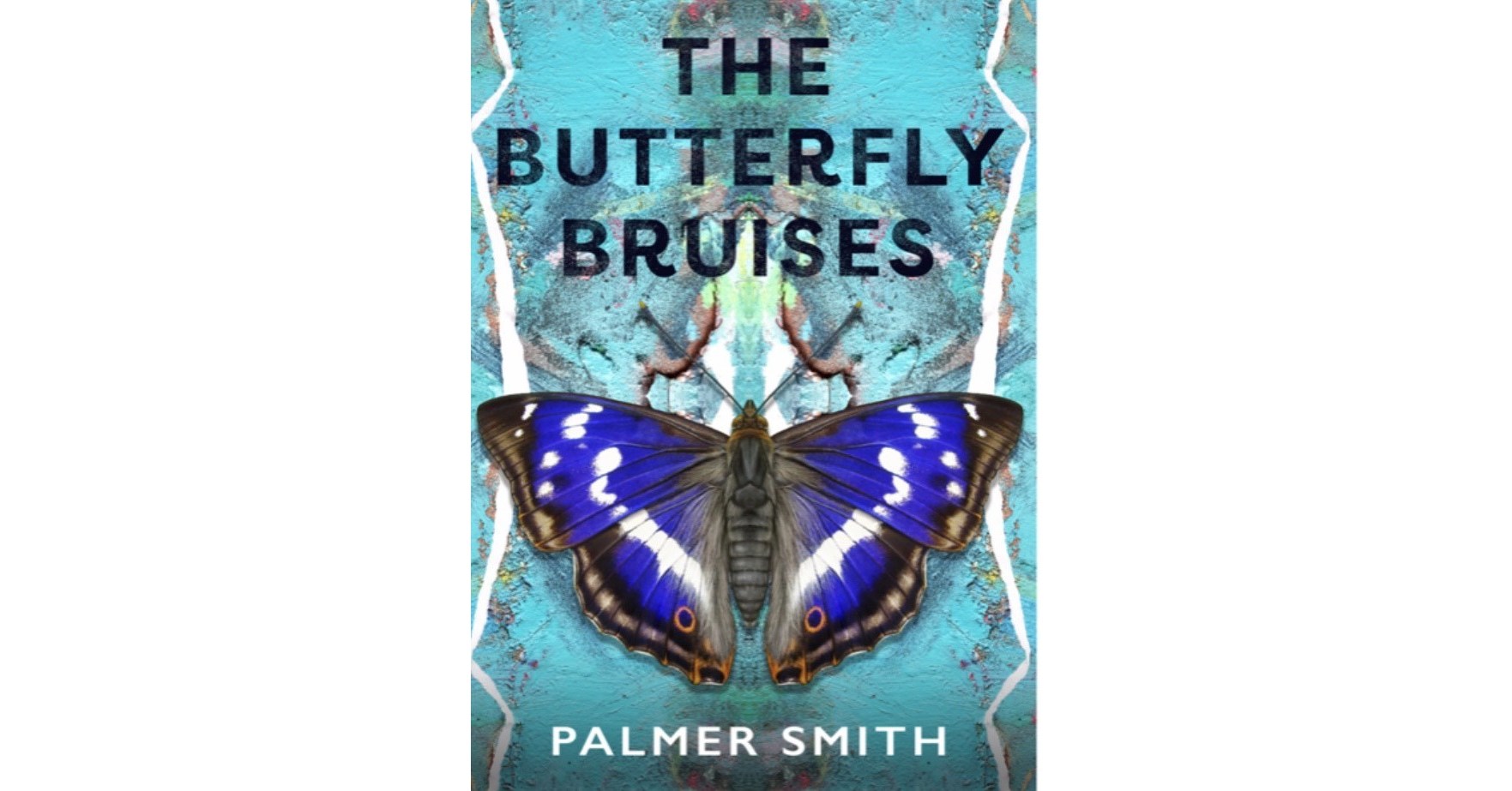 Acclaimed Author & Poet Palmer Smith Launches Her Southern Poetry 