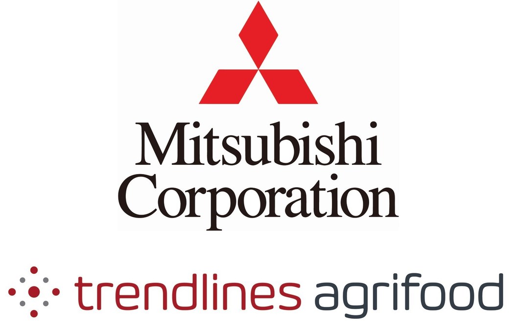 Компания mitsubishi. Mitsubishi фирма. Mitsubishi логотип. Mitsubishi концерн. Мицубиси Моторс логотип.
