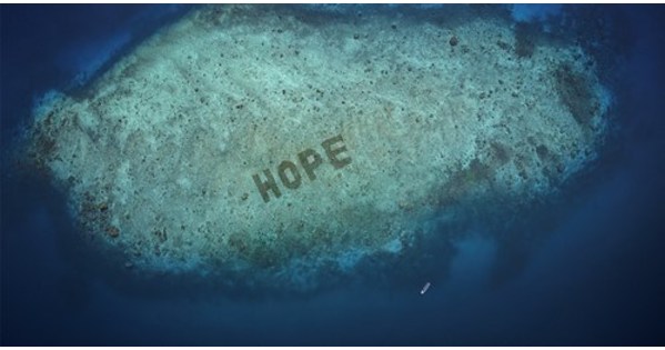 SHEBA&reg; da a conocer Hope Reef: se anuncia el programa de restauraci&oacute;n de coral m&aacute;s grande del mundo