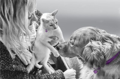 Purina Celebrates National Pet Month by Turning Pet Aisles Purple to Support Domestic Violence Survivors with Pets
