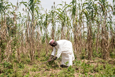 A farmer in Rayuwa, Africa, tends to his crops.