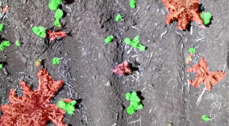 Unable to view the image, Please provide a valid URL.