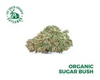 TGOD Introduces New Promise for Quality, Consistency, and High-THC Organic Whole Flower Across Canada