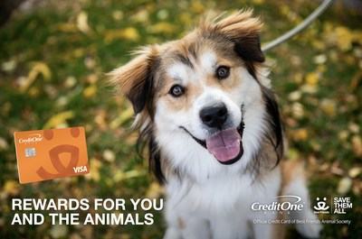 The Best Friends Credit Card by Credit One Bank: Rewards for You and the Animals
