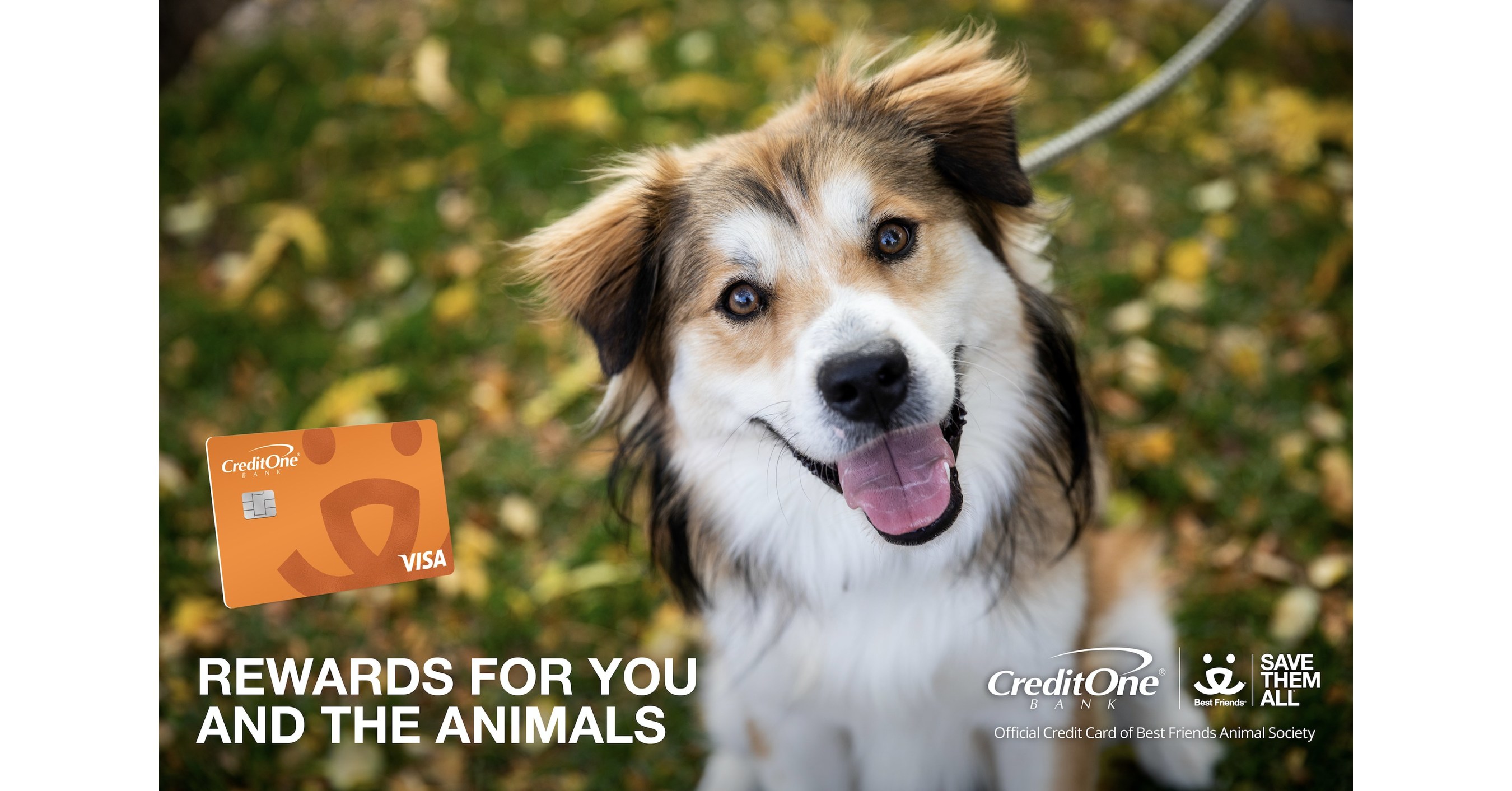 Credit One Bank Launches Credit Card to Support Best Friends Animal Society