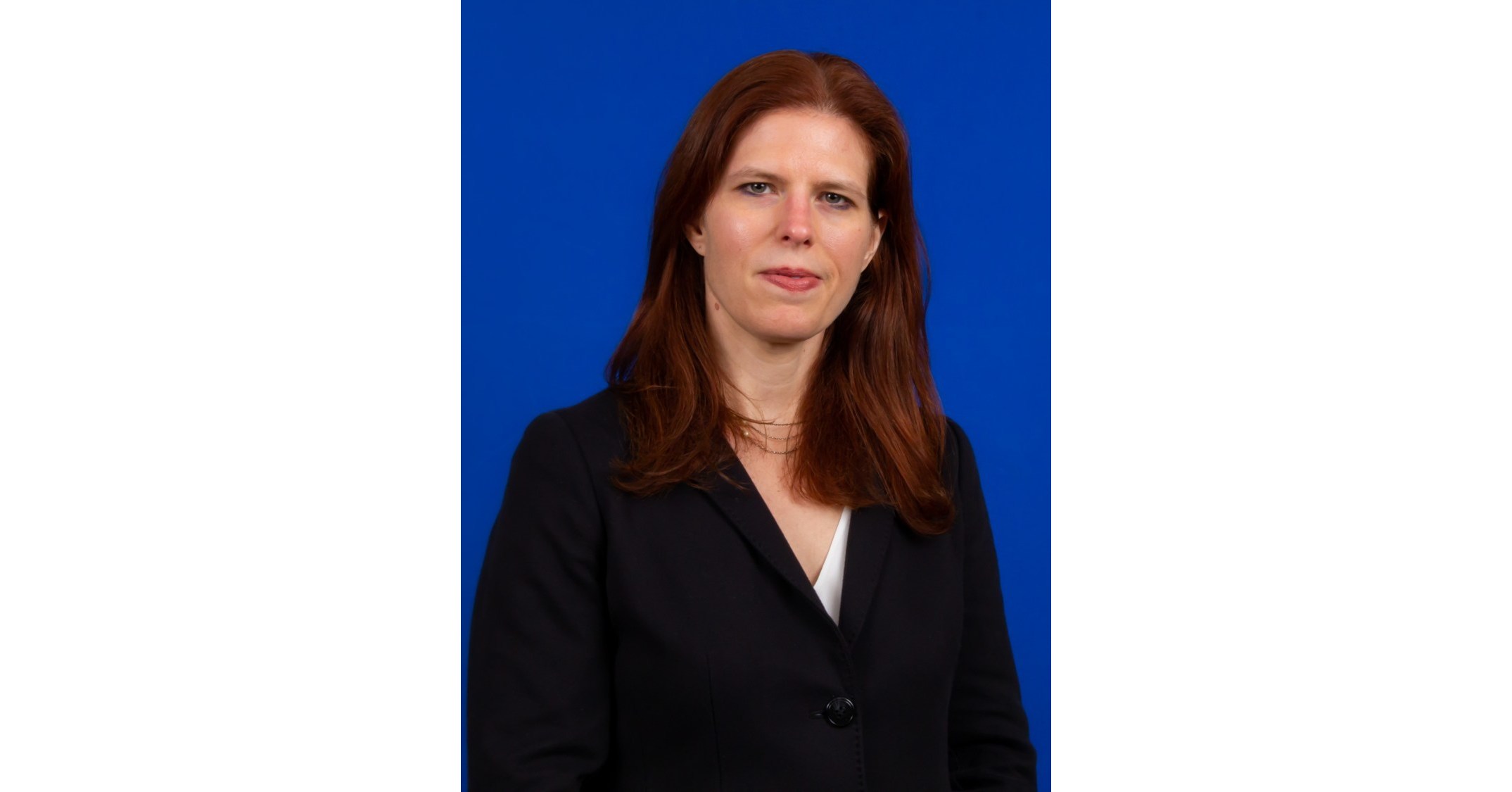 InterActive Legal Names Vanessa Kanaga as CEO