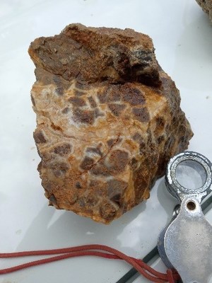 Figure 5: Quartz-sulphide vein and colloform banded quartz matrix breccia float from Kerefa Prospect (CNW Group/Kainantu Resources Ltd.)