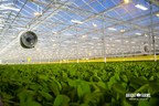 BrightFarms Extends Its Indoor Farming Stronghold to the Southeast with New High-Tech Carolina Greenhouse
