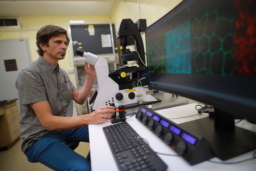 Rafael Garcia-Mata, PhD, Associate Professor, University of Toledo, looks to advance his research with lab's new STELLARIS confocal microscope from Leica Microsystems.