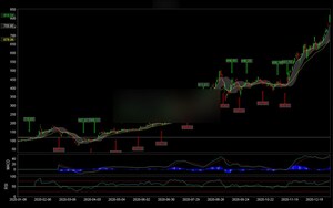 Noted Investor Educators, OptionsANIMAL Announces the Upcoming Launch of Trader Oasis: A Redefining Commission-Free Investor Experience That Delivers Mentorship and Tailormade Active Trading Features