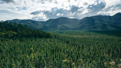 Vue sur une plantation forestire de jeunes pins du Sud jusqu' la chane de montagnes Byfield, dans la rgion de Central Queensland, en Australie (Groupe CNW/Socit Financire Manuvie)