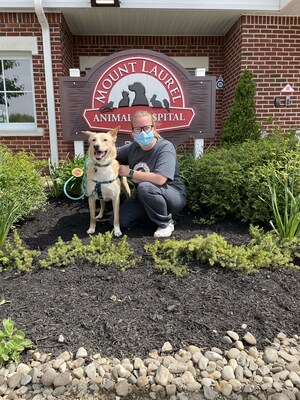 Local Veterinarian Introduces 'Happy Visits' to Calm Anxious Pets