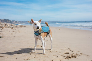 OUTWARD HOUND Drops Six New Life Jacket Colorways