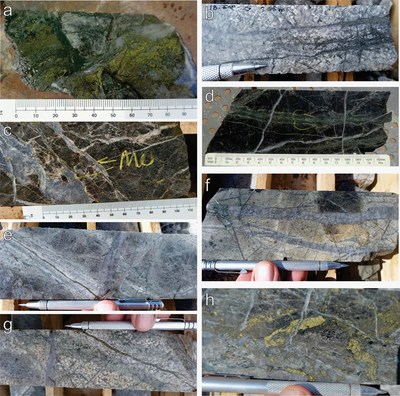 Figure 1: Textural examples of mineralization and alteration styles in Esperanza drill hole 18-ESP-25: (a) chlorite-green sericite -chalcopyrite + late gypsum veinlets, (b) “D” type pyrite-bornite-calcite veinlets with white sericite halo, (c) molybdenite in gypsum veinlets with strong pervasive secondary biotite and K-feldspar flooding, (d) chalcopyrite>pyrite veinlets with chlorite-green sericite haloes, cut by late gypsum veinlets, (e) “A” type veinlet, chalcopyrite-chlorite-green sericite, cut by “D” vein pyrite-bornite with white sericite halo, (f) stockwork of “A” type veinlets, host altered by intense K-feldspar flooding, cut by hairline chalcopyrite-pyrite-chlorite veinlets, (g) “A” type veinlets with chalcopyrite-chlorite-green sericite, cut by “D” type pyrite-bornite veins with white sericite halo, (h) coarse chalcopyrite>pyrite-chlorite-green sericite veins with late gypsum veins. (CNW Group/Libero Copper & Gold Corporation.)