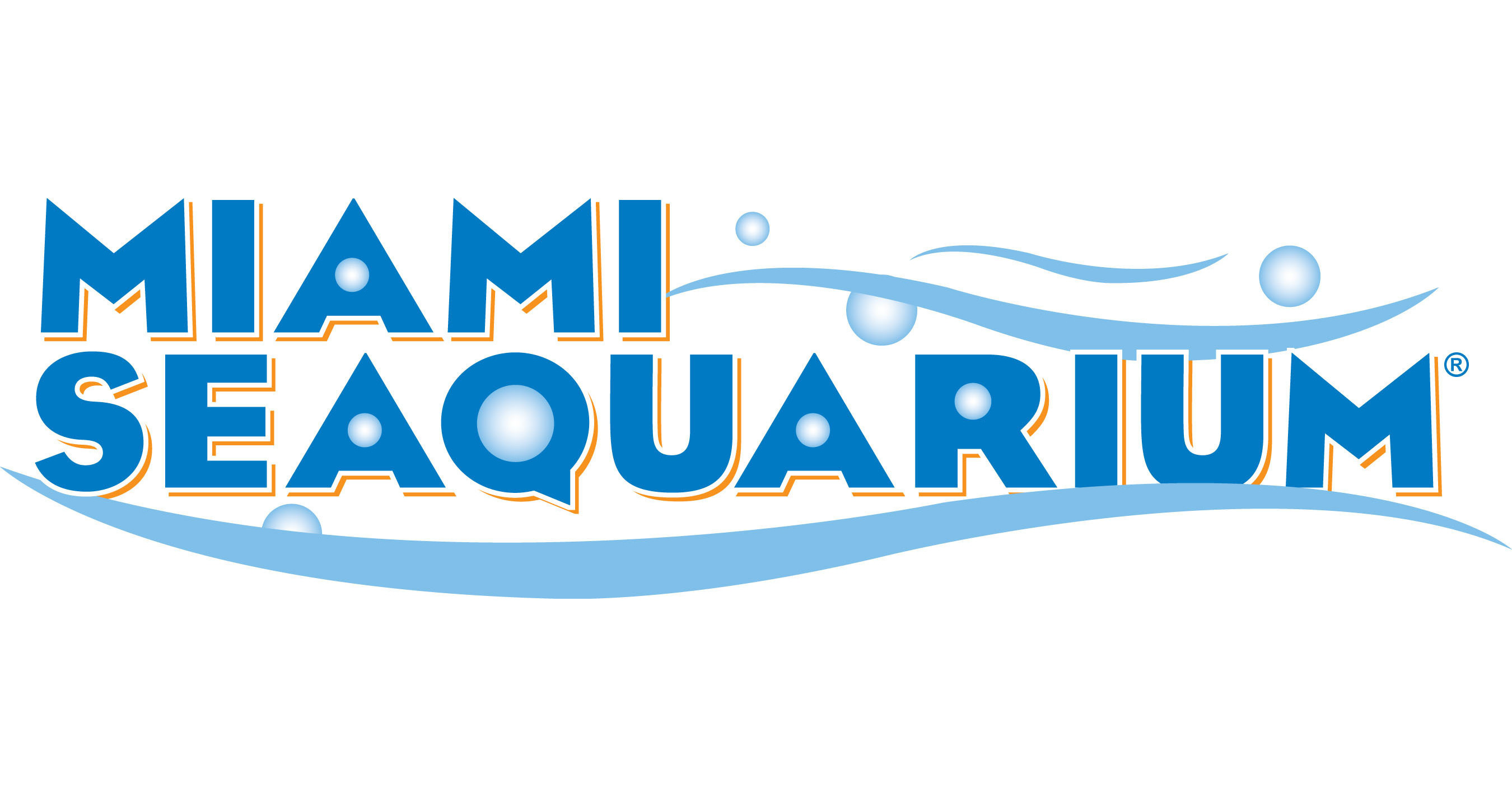 Miami Seaquarium Entry + Meet a Dolphin Tickets