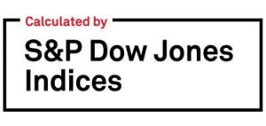 S&P Dow Jones S&P Dow Jones
