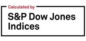 S&P Dow Jones