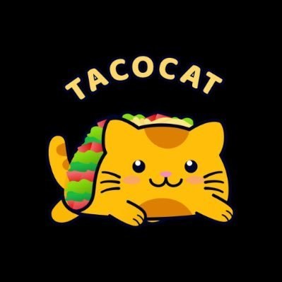 taco cat crypto price